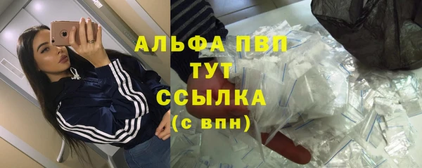 твердый Лагань
