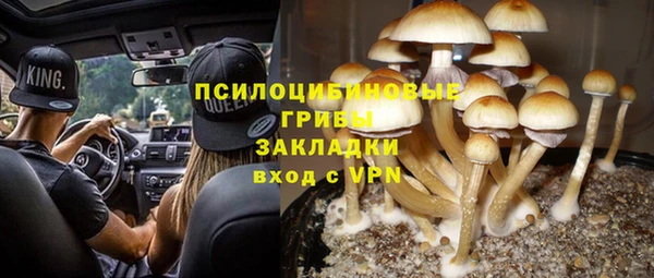 твердый Лагань